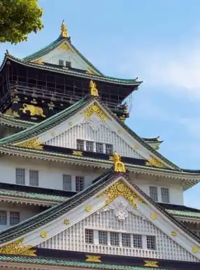 castello di osaka giappone cinque