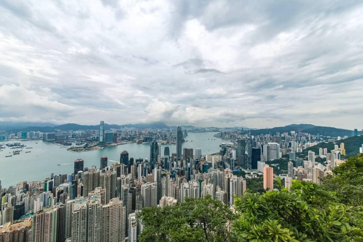 city buildings and green trees near ocean 1