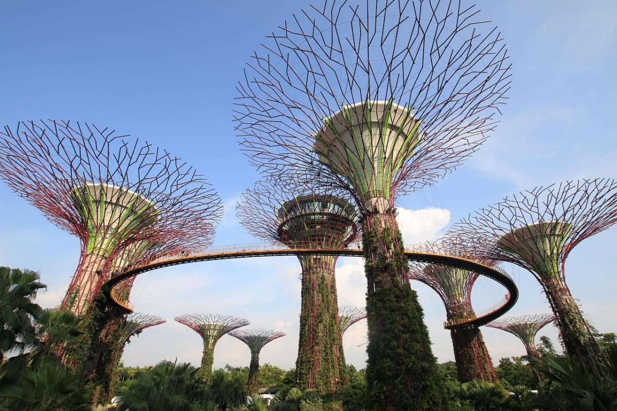 giardino gardenbythebay supertree