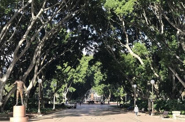 hyde park sydney 1
