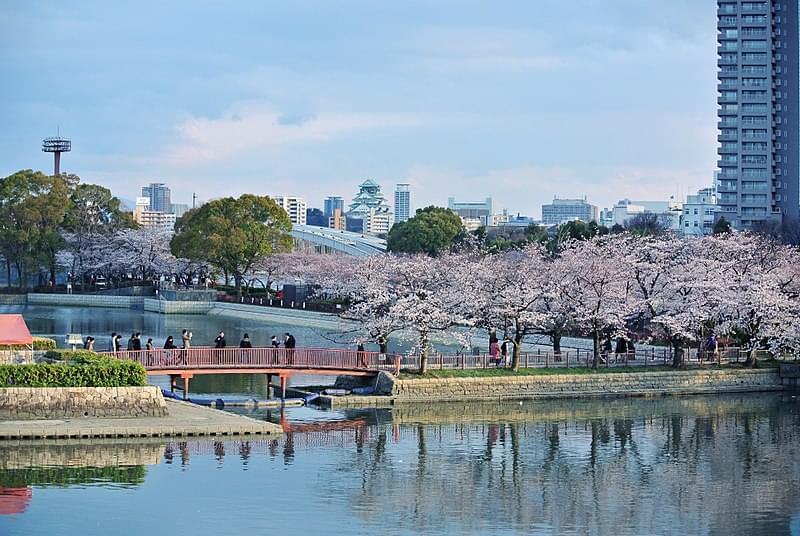 kema sakuranomiya park mandorlo in fiore