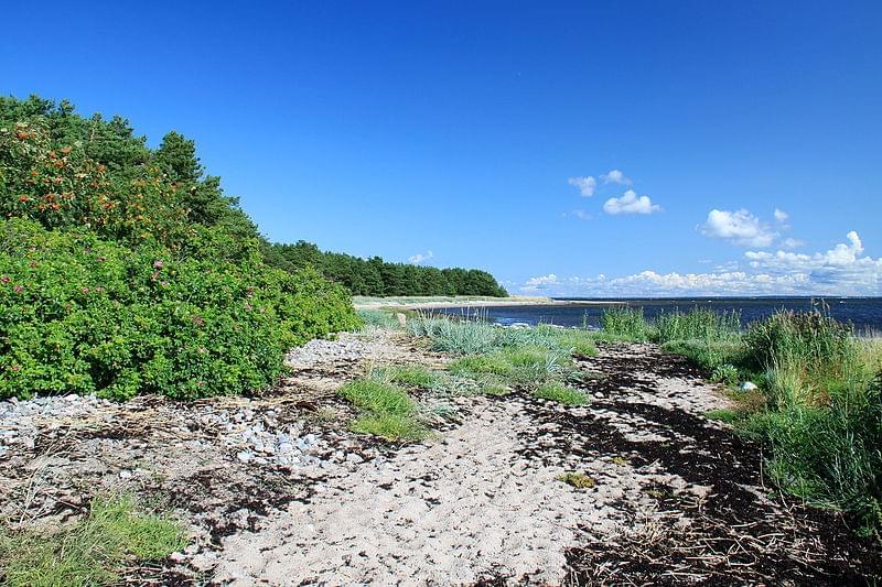 naissaar natura spiagge