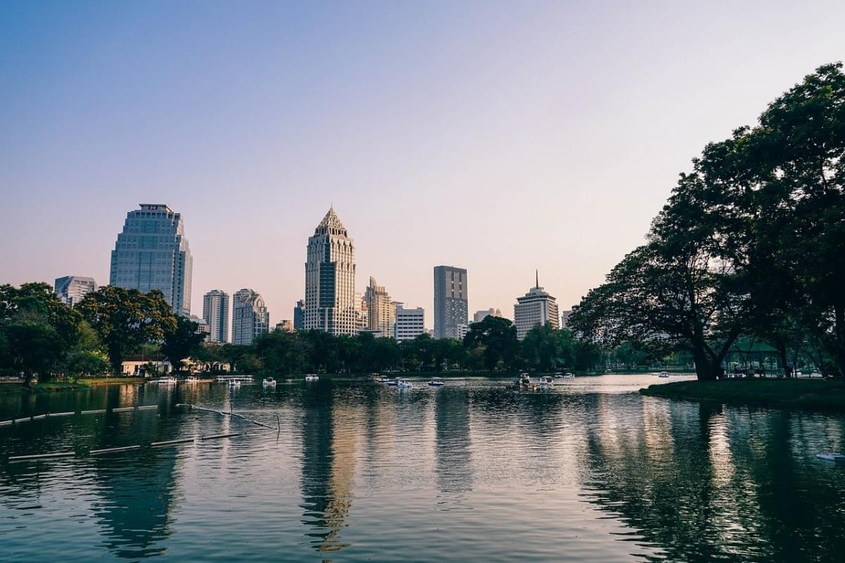 park lumphini bangkok albero
