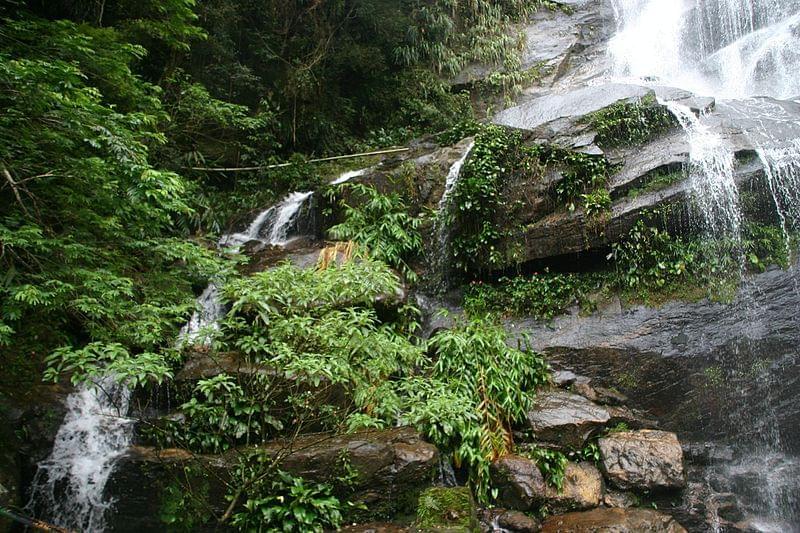 rio de janeiro tijuca forest