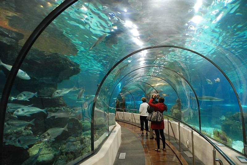 tunnel aquarium di barcellona